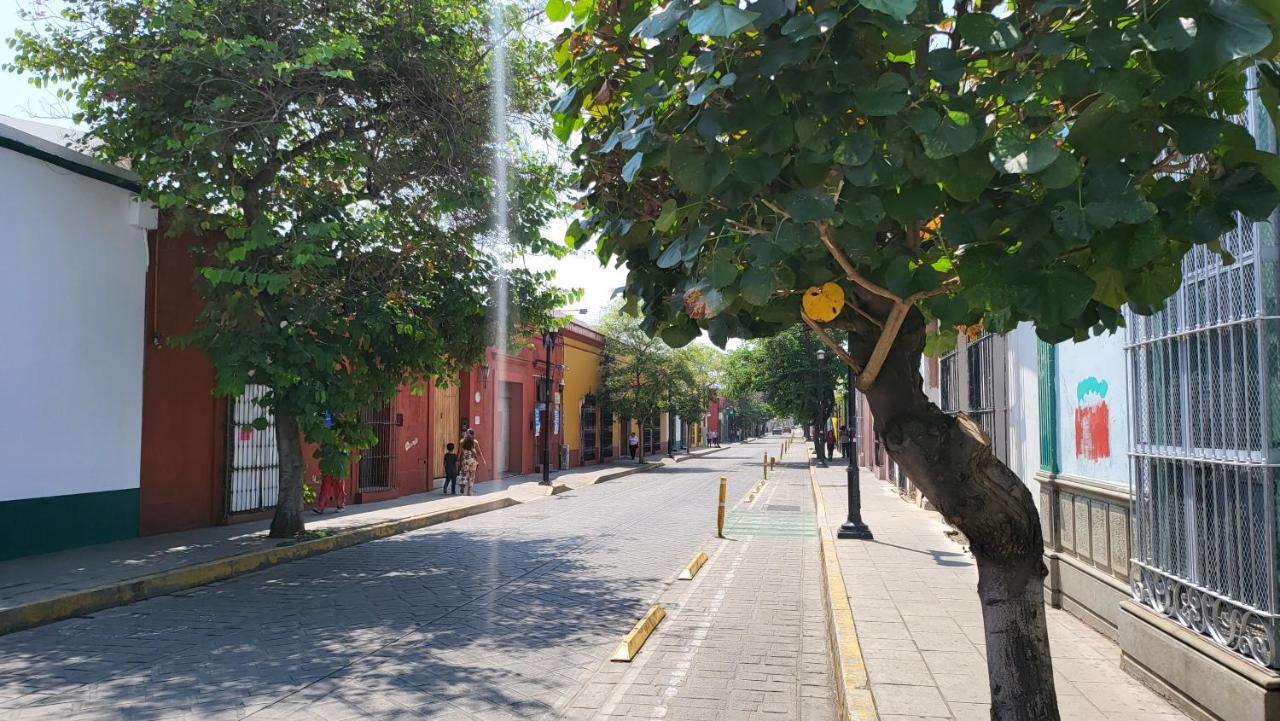 Oaxaca Departments Independencia Apartment ภายนอก รูปภาพ
